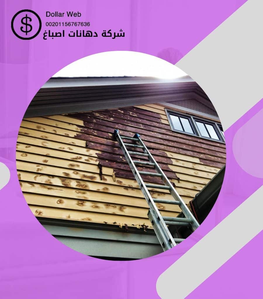 صباغ صباح السالم الكويت