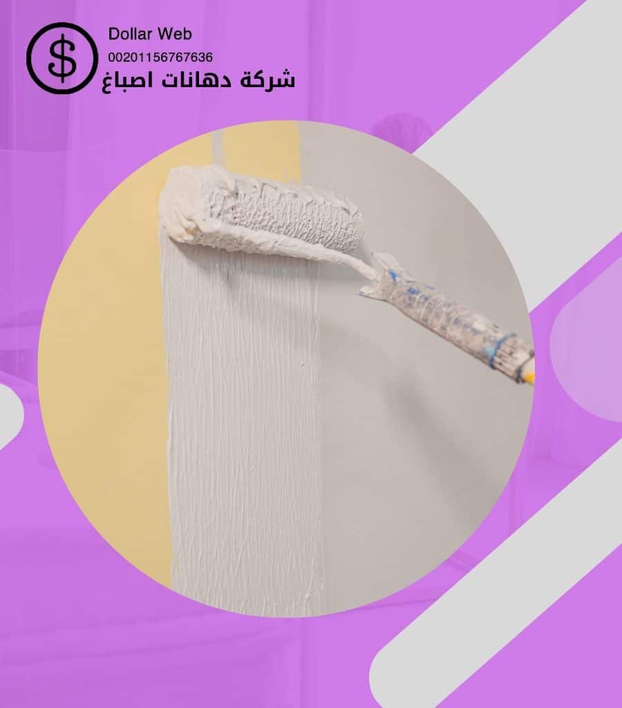 صباغ المهبوله الكويت